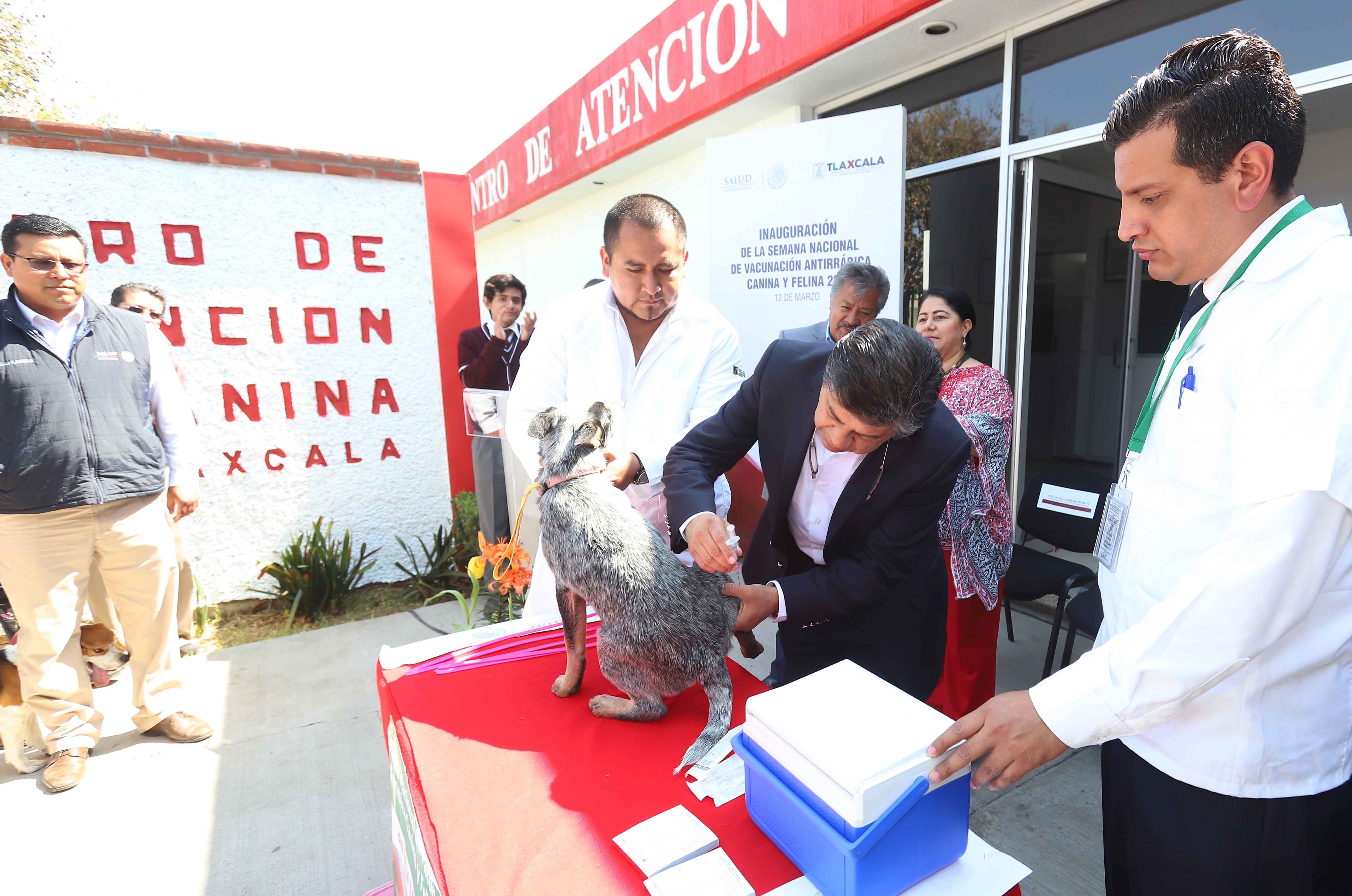 Tlaxcala, ejemplo nacional en control de rabia canina y felina